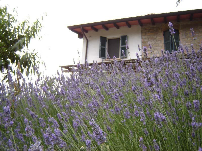 Casa Dell' Abbondanza B&B Agriturismo Vigoleno Bagian luar foto