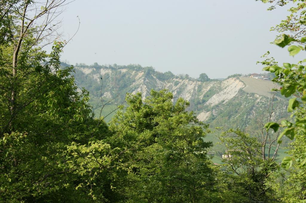 Casa Dell' Abbondanza B&B Agriturismo Vigoleno Bagian luar foto